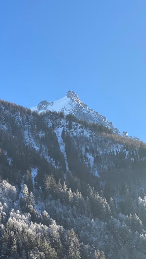 Chamois De Chamonix, Confortable 2 Pieces, Balcon, Parking Gratuit Bagian luar foto